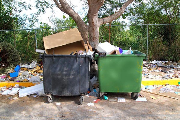 Junk Removal Specialist Near Me Tampa FL